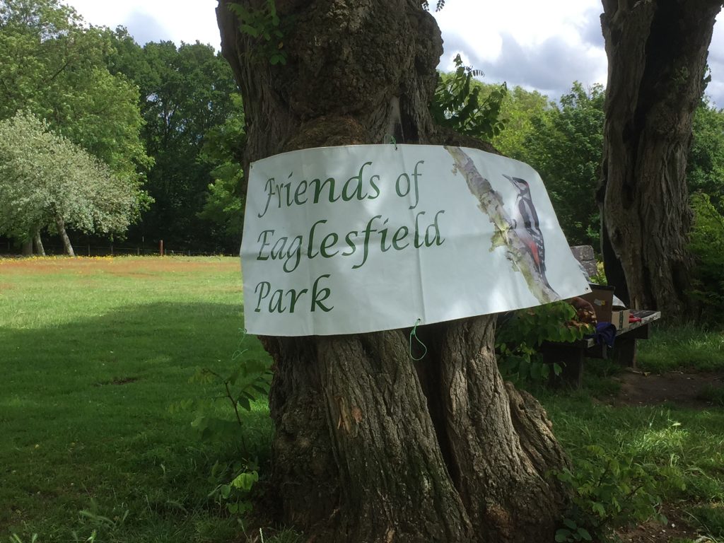 Eaglesfield Park Parkfest